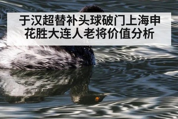于汉超替补头球破门上海申花胜大连人老将价值分析