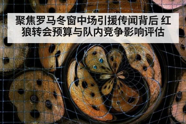 聚焦罗马冬窗中场引援传闻背后 红狼转会预算与队内竞争影响评估